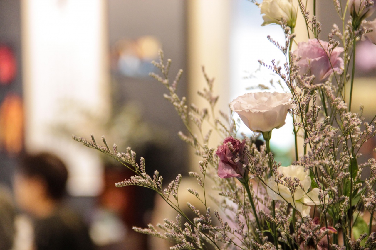 三生有幸—生活、生命、生死