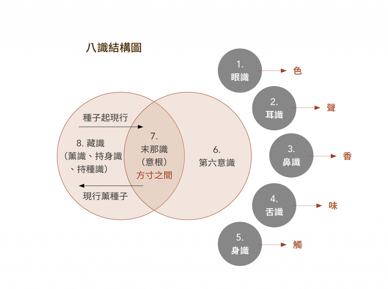 醫師生涯與佛教思想