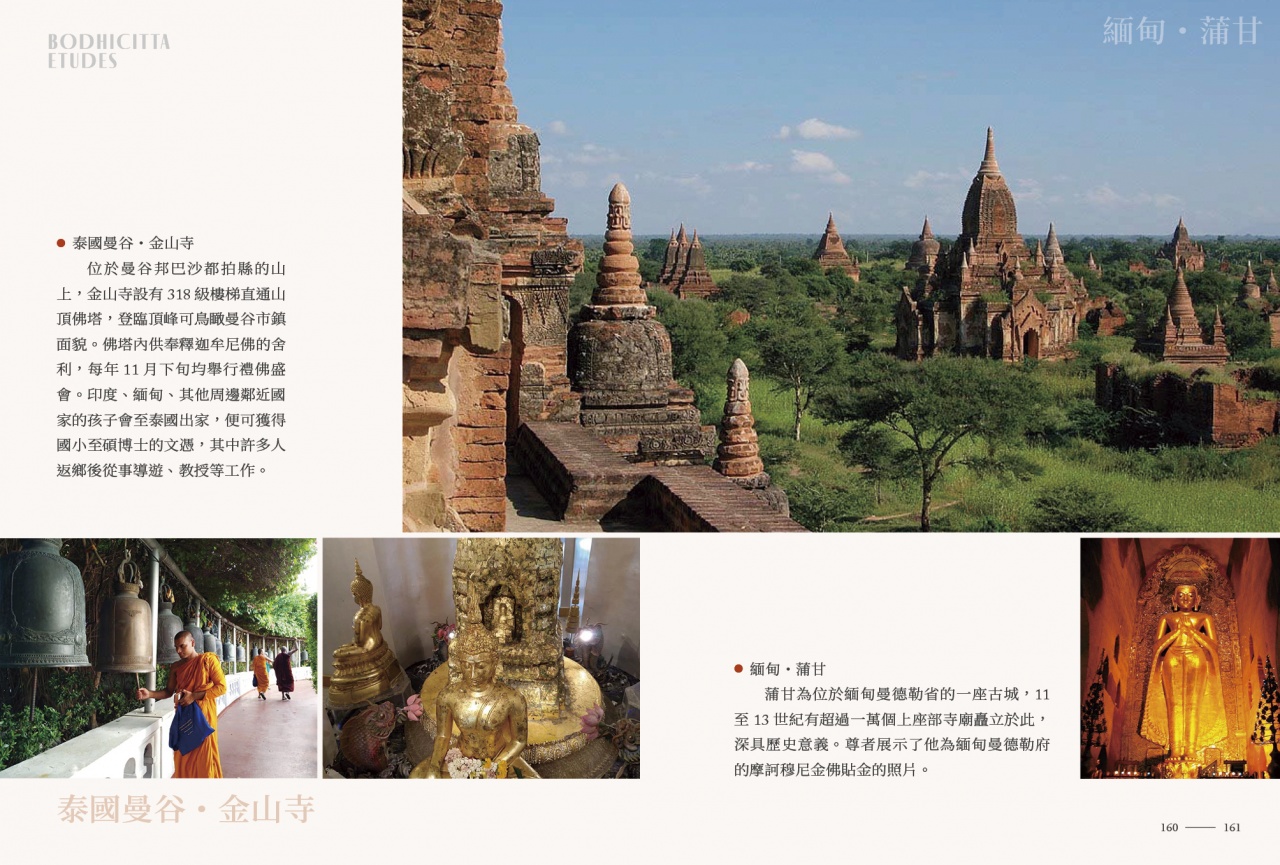 從台灣、泰國到阿根廷